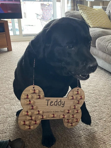 Doggy advent calendar